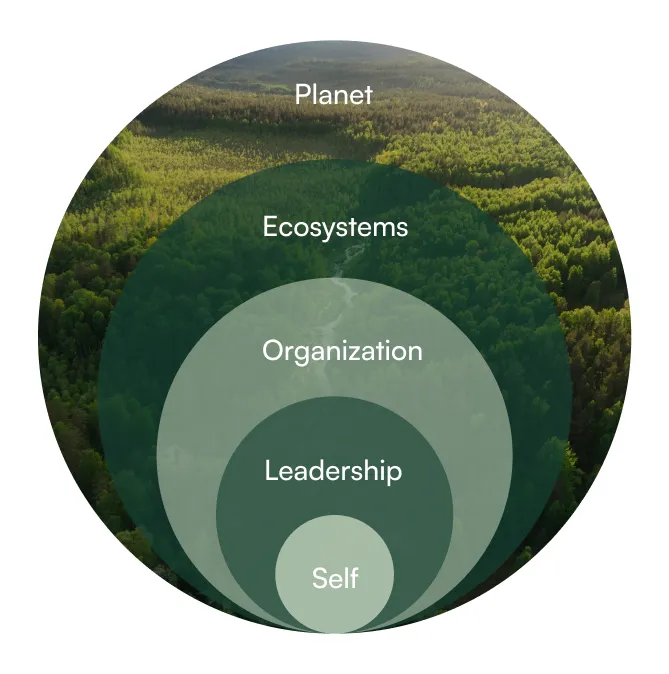 Diagram representing evolving leadership