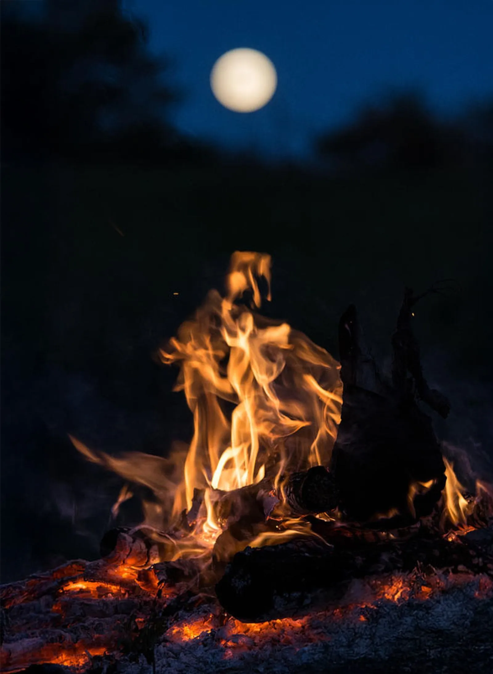 Women’s Leadership Circle Davos - Female leaders connecting and inspiring - photo of fire